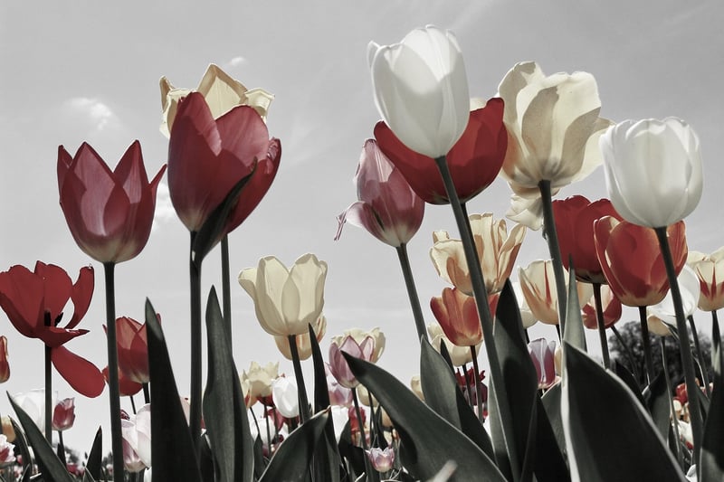 Spring Decor